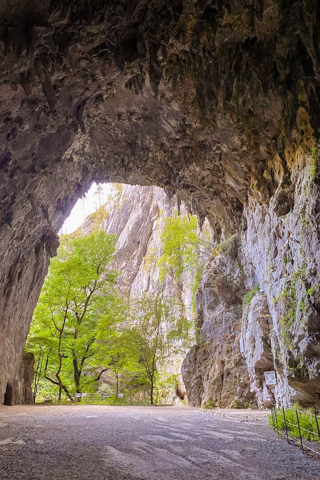 スロベニア　シュコツィアン洞窟群